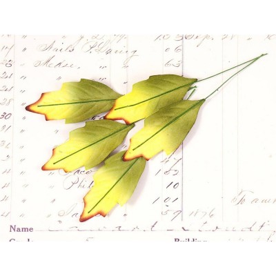 Листья остролиста, зеленые желтым (5 шт)
