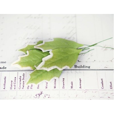 Листья остролиста, зеленые (5 шт)
