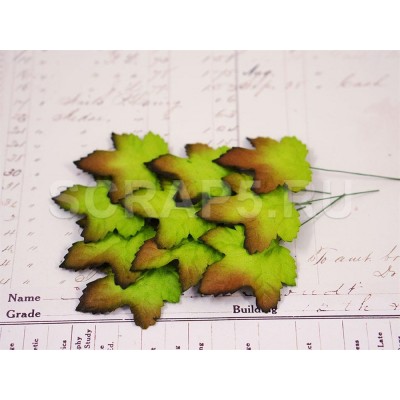 Листья клена, зеленые (10 шт)