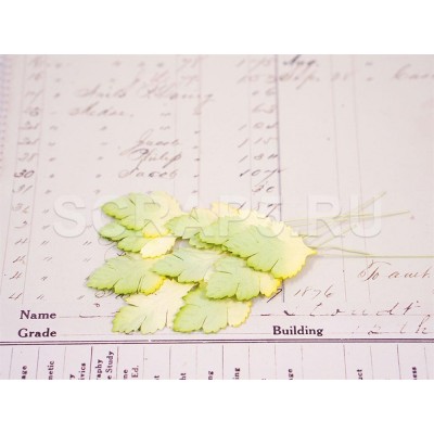 Листья клена, желто-зеленые (10 шт)