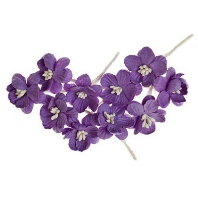 Цветки вишни фиолетовые, 10 шт