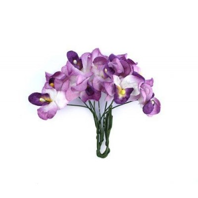 Орхидеи фиолетовые, 10 шт