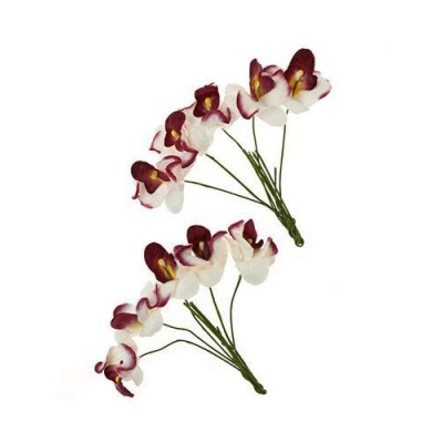 Орхидеи белые с бордовым, 10 шт